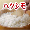 「幻の米」ハツシモ 通販