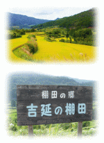 土佐天空の郷ヒノヒカリの通販！高知県本山町の美味しい「特別栽培米」ヒノヒカリができる10の理由！